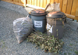 Yard Waste 001