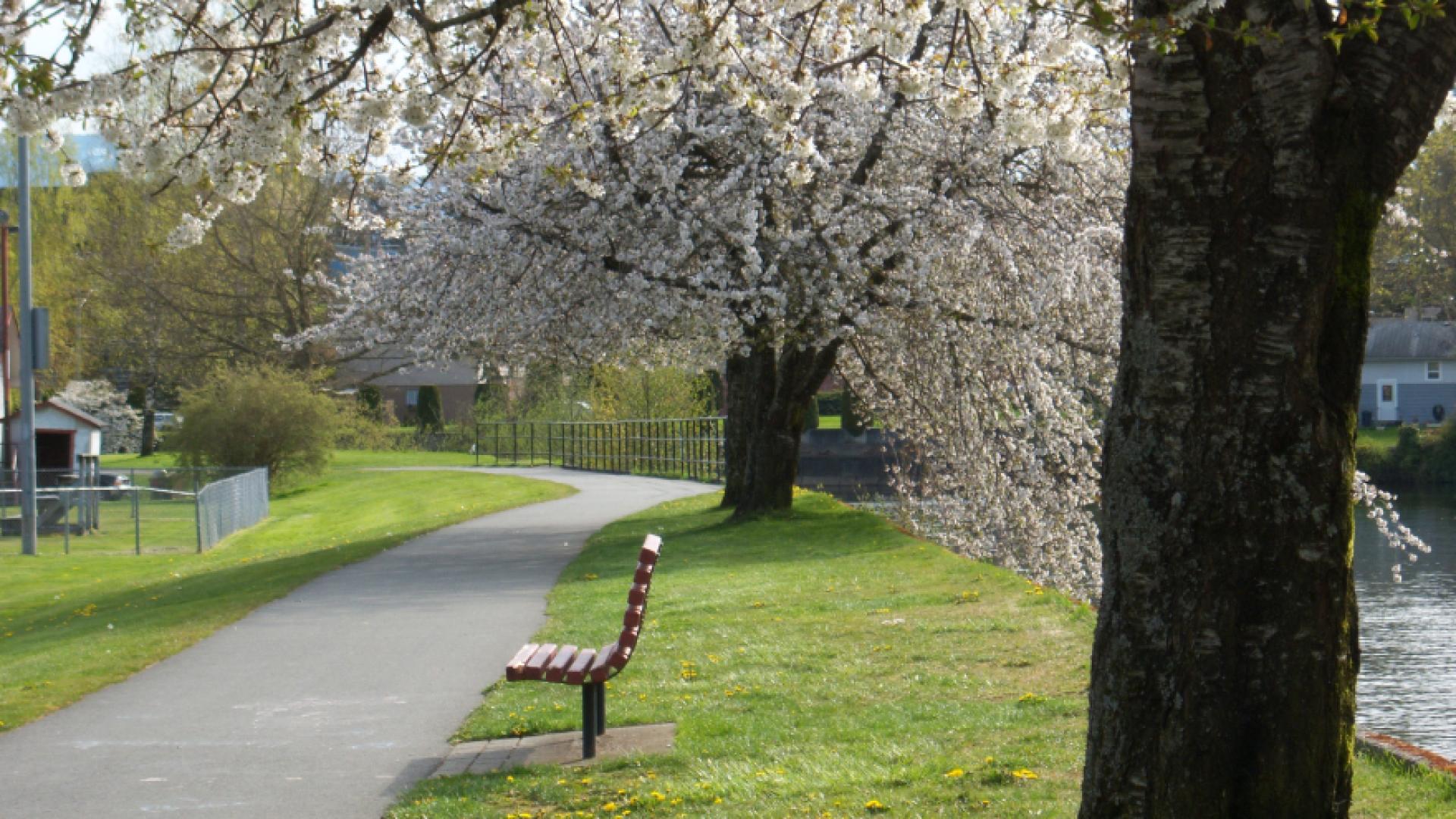 Memorial Bench