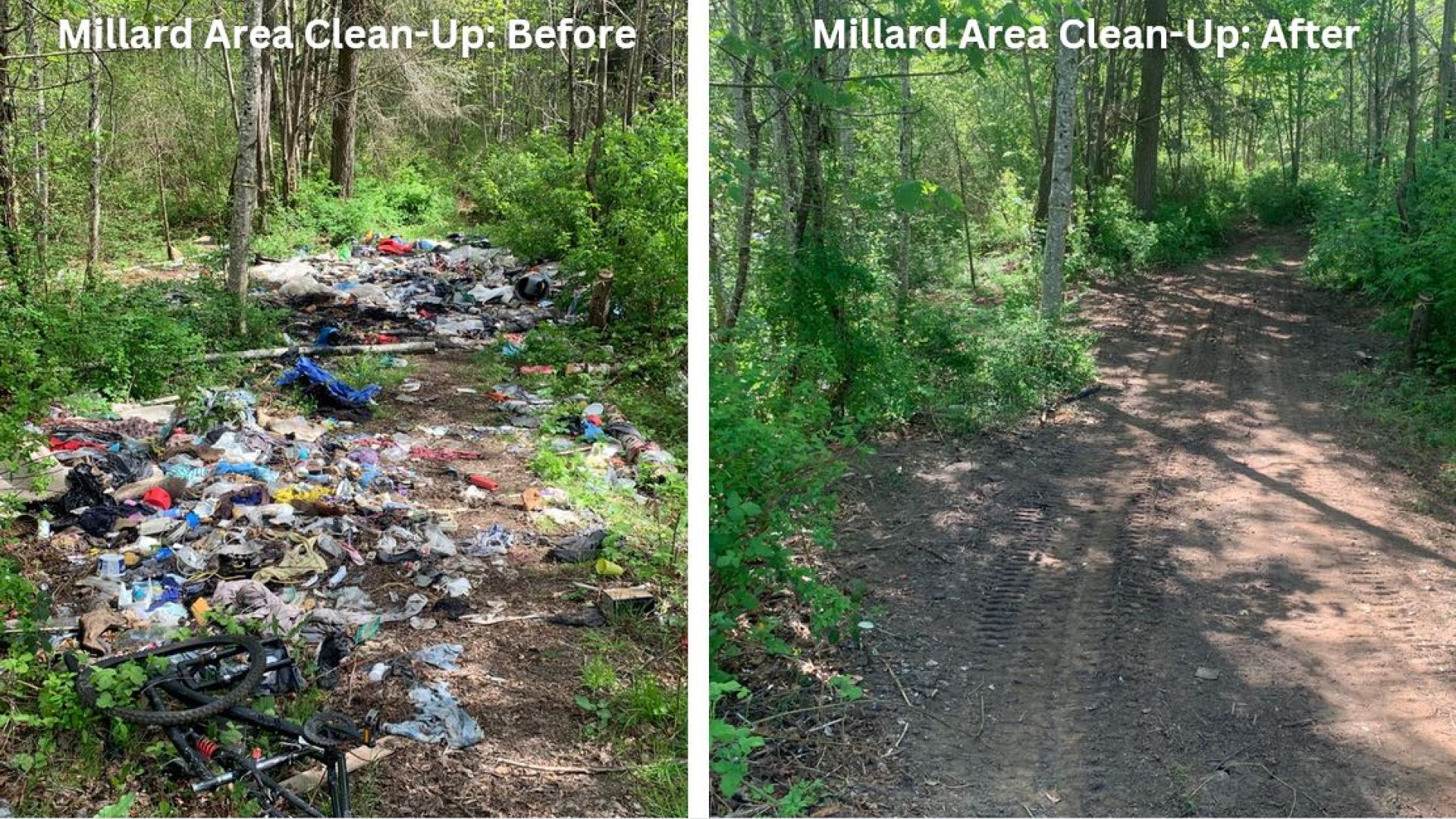 Millard area before and after garbage cleanup. In the before side, there is garbage spread throughout a dirt path. In the after section, the dirt path is free of garbage.