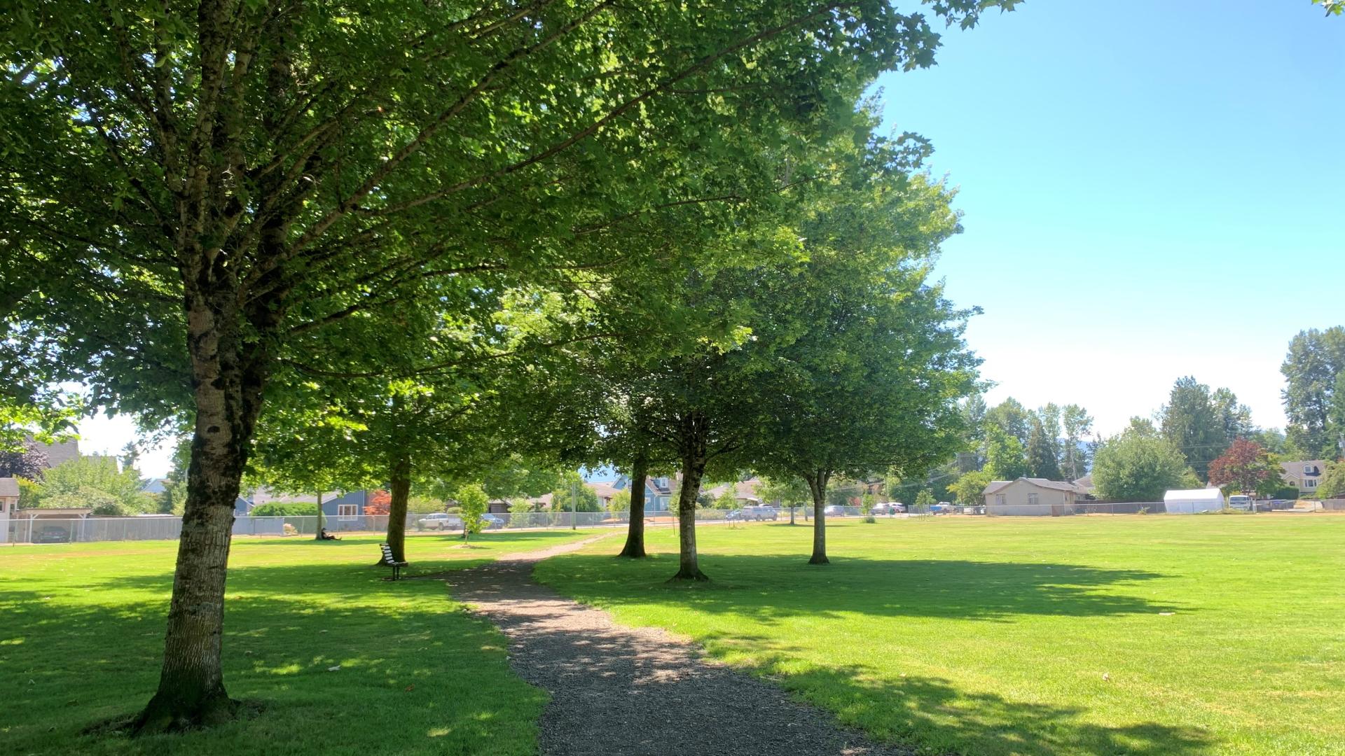 A park with a grass and a path and larger trees