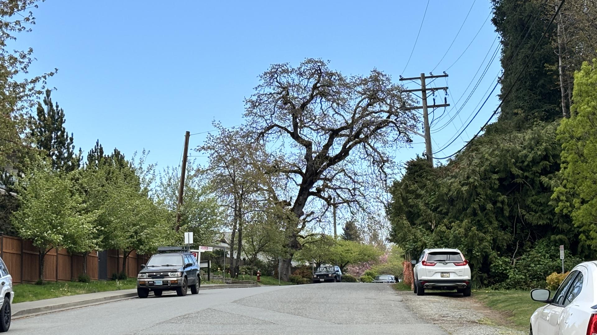 Braidwood Road 