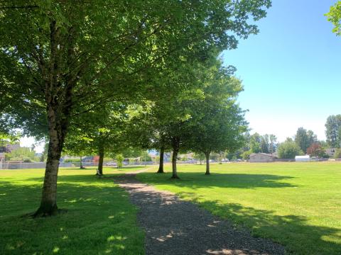 A park with a grass and a path and larger trees