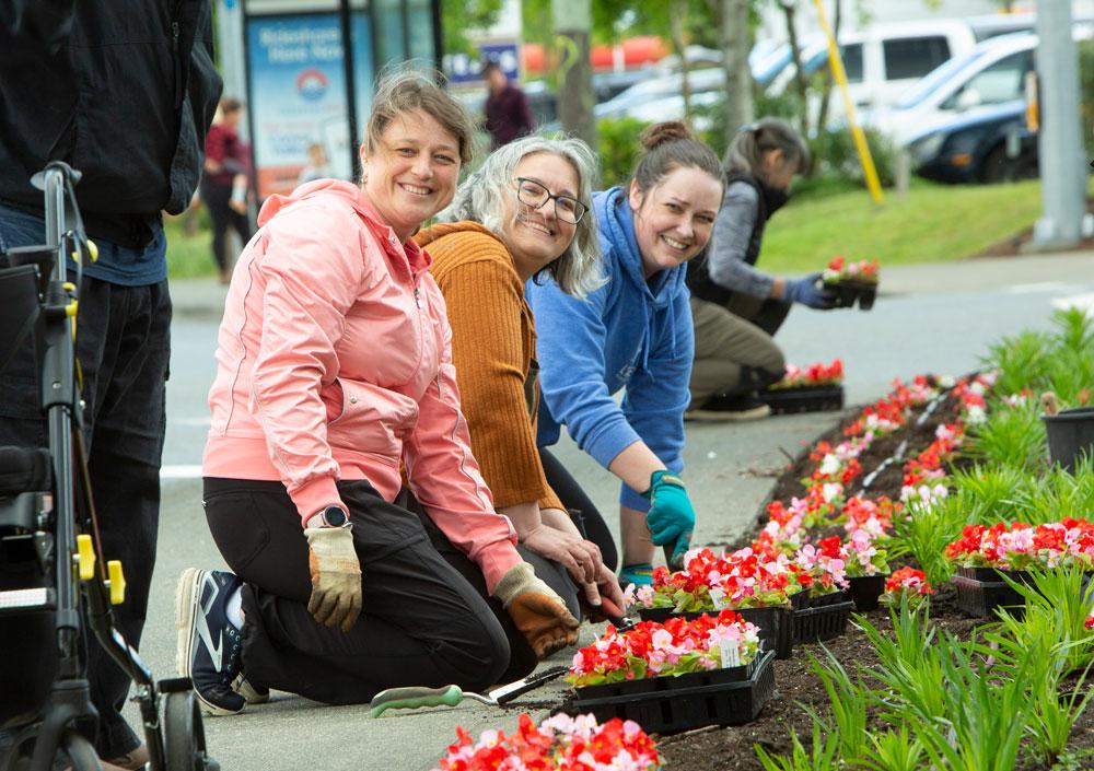 Three smiling women planting flowers